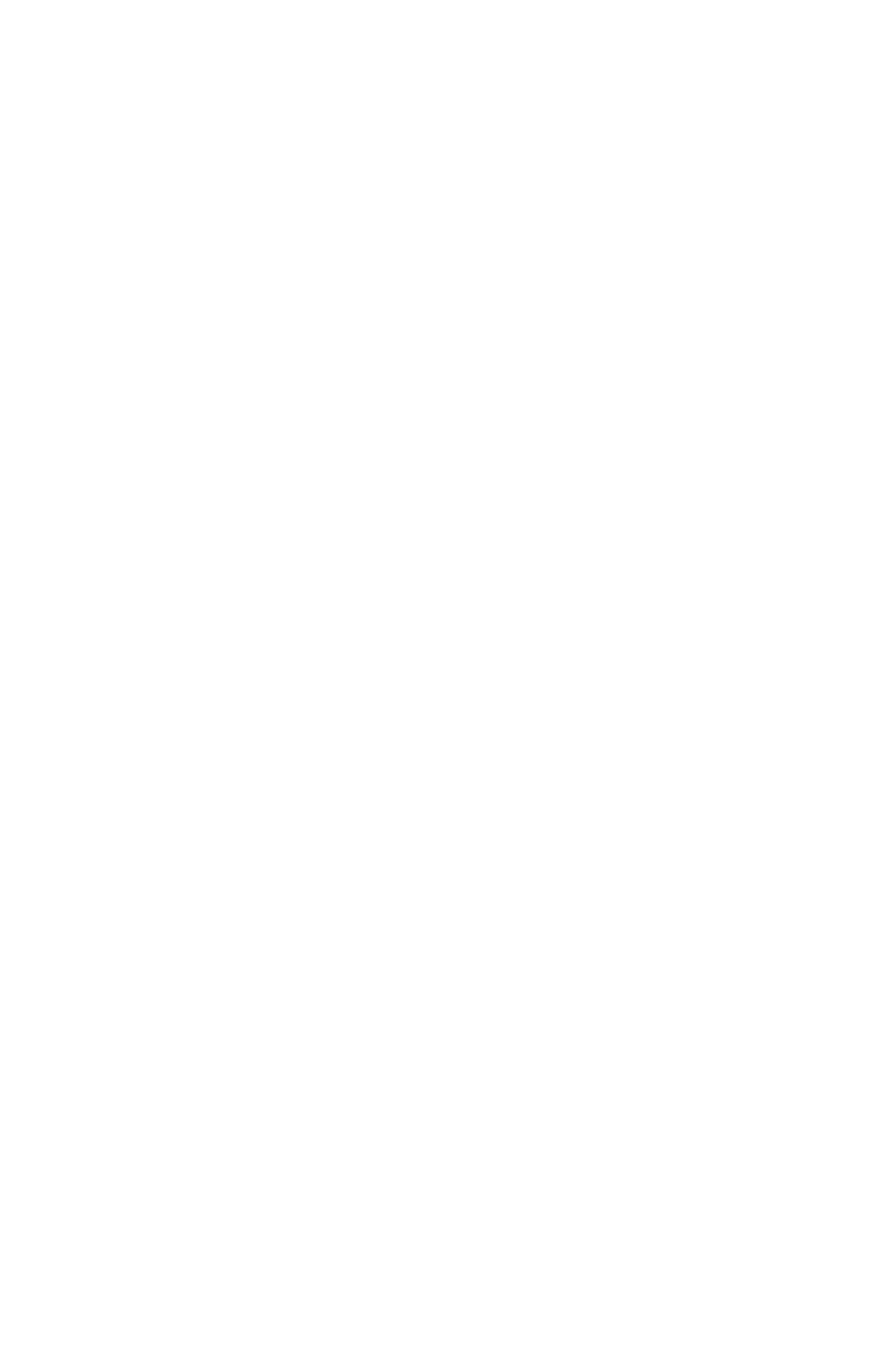 Raw Guild Studios